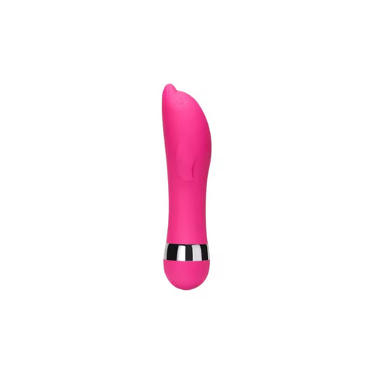 Mini Dildo Vibrator